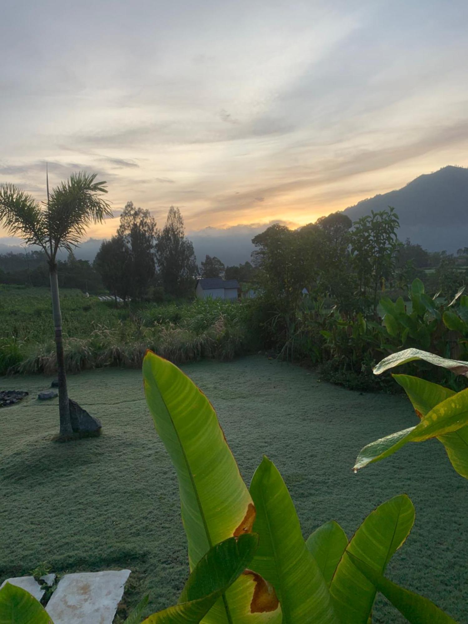 ホテル Bali Lesung Kintamani エクステリア 写真